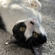 Micah
