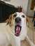 Yuval M...