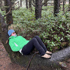 Catron Arnold