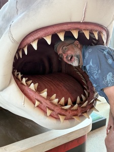 Stephen Kurtz
