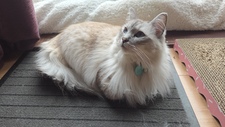 George