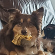 Maggie