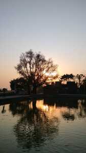 Shilpi Pathak