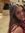 taryn