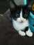 Mily