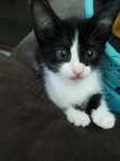 Mily