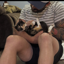 Tyler Lavigne