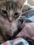 Evalyn ...