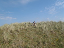 Bente