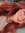 Lauren W.