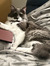 Reader Kay