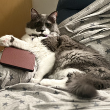 Reader Kay