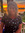 Emily Fugate