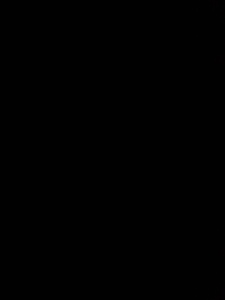 Spamela
