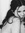 leyls