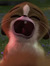 Annie S...