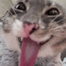patrcyaj