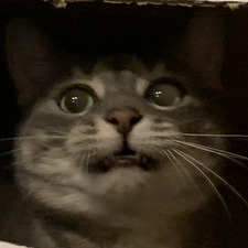 Meg