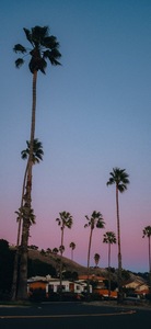 wandersofnov