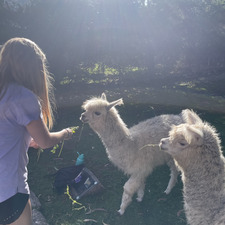 Molly