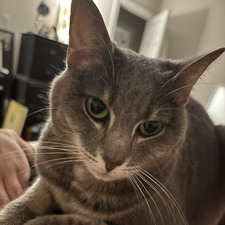Frances