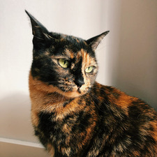 Esmee