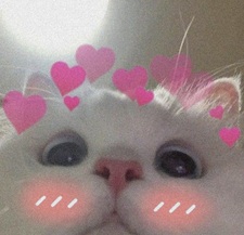Anicia