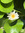 member photo member photo