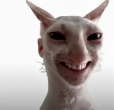 jay