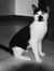 Maksym ...