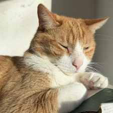 Elliot