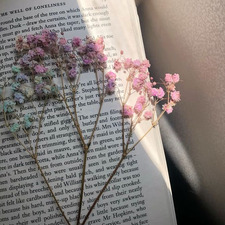 ⋆˙⟡ kathi ⟡˙⋆