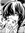 Aster Gracon