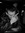 Mads Klogh