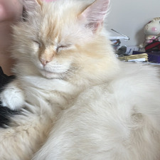 Zoe