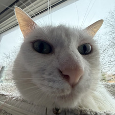 George