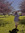 Emily Provence