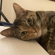 Amy