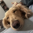Chloe