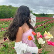 jasmine
