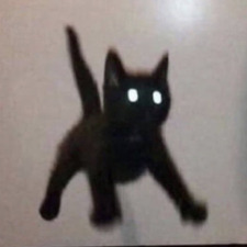 Luis