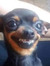 Martine...
