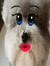 anka 