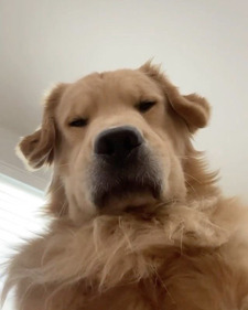 chloe