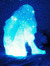 Ilse
