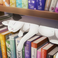 ˚✧₊⁎ Em ⁎⁺˳✧ ˚