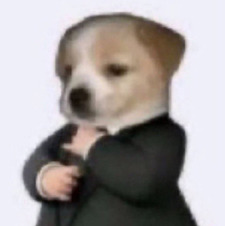 Rinnyroo