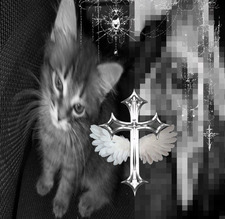valngl444