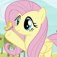flutterchey