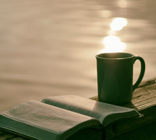 Reader